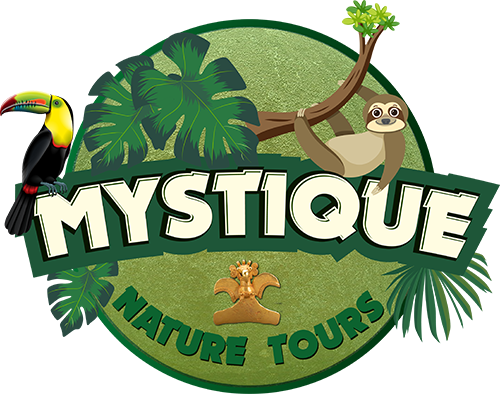 logo Mystique Nature Tours